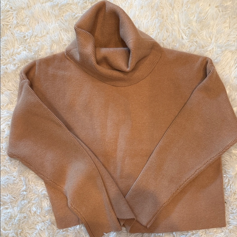 Cozy Tan Turtleneck Sweater